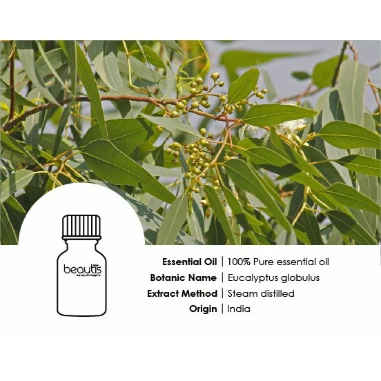 Eucalyptus Essential Oil