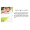 Lemongrass Essential Oil