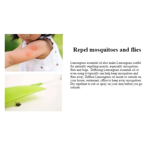 Lemongrass Essential Oil
