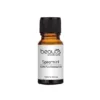 Spearmint Essential Oil