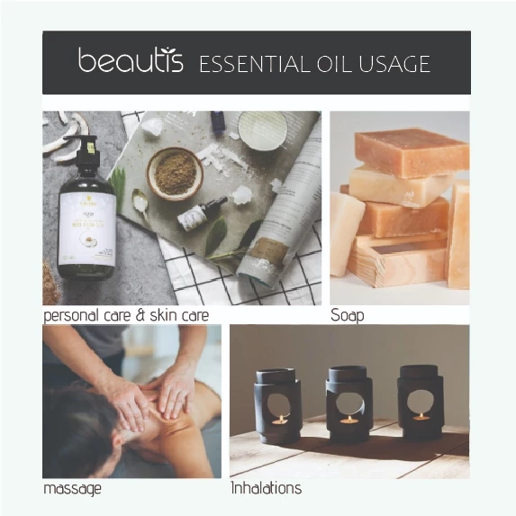 Cinnamon Bark Essential Oil